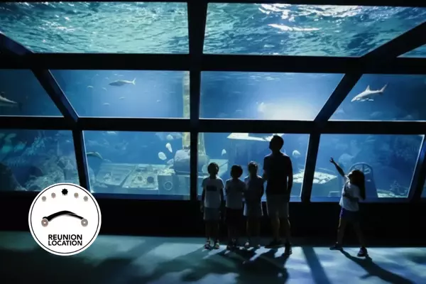 Aquarium-de-la-réunion