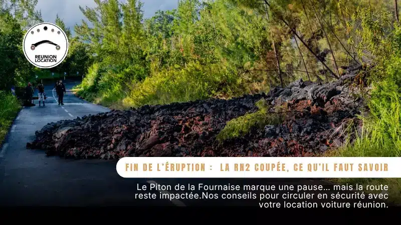 Bannier nouloutou (5)