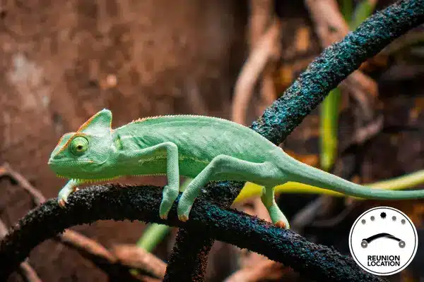 intérieur d'article article blog (24)