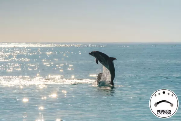 intérieur d'article article blog (27)