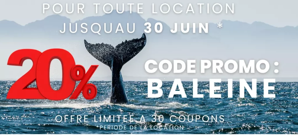 PROMO BALEINE