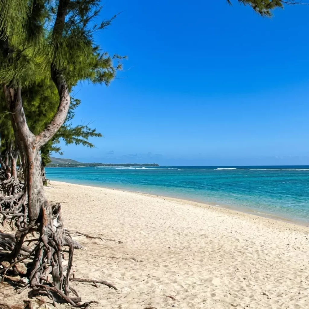 Voiture de location à Saint-Gilles-les-Bains pour profiter du littoral de La Réunion
