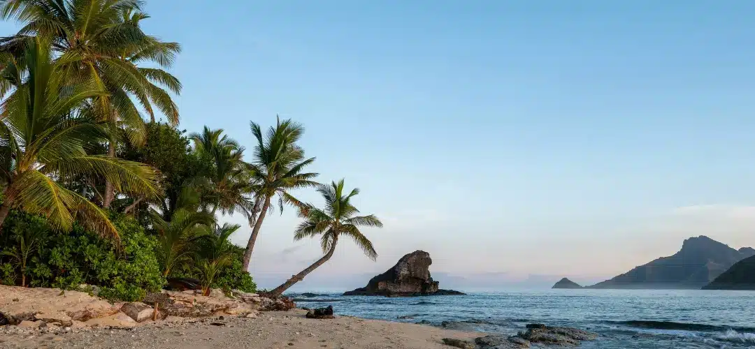 Location voiture Réunion : ce que les voyageurs découvrent trop tard 7 6