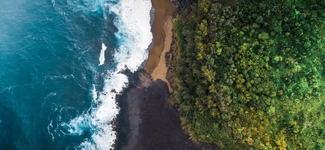 Location voiture Réunion : ce que les voyageurs découvrent trop tard 8 7