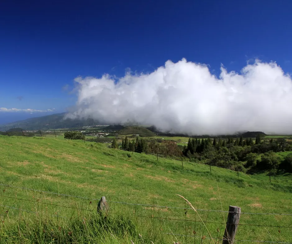 Location voiture Réunion : Saint-Pierre & Le Tampon 11 Plaine des Cafres